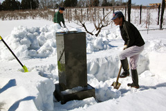 墓参を前に雪を掘り出す