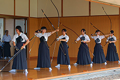 QOOloꂵ悳|