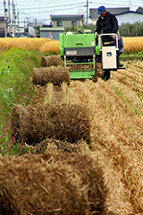 �����͎��Ԃ��������Ƃ�