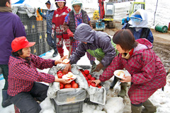 QǓ@o