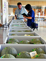 �W��������͂Q�W���܂�