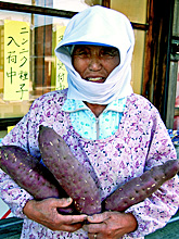 PLȏ̑傫