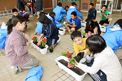 菬ł̊