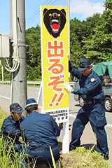 ڌ̑ɐݒu
