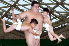 告oꏊ