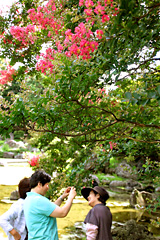 ̃TXx