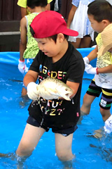 ݎ