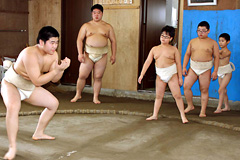 yUJ