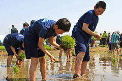 cǍcA[