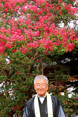 笎