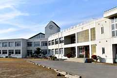 �Z���̃g�b�v��؂�󐣐�