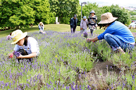 ���x���_�[�܂�