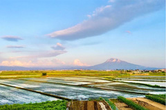 �T�[�N����