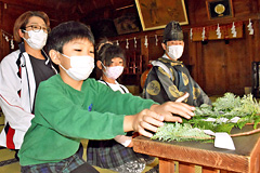 �ʋ�����������