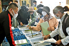 ڂ낦
