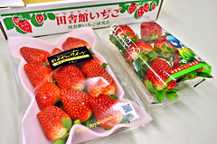 Vɓo^ꂽC`S