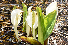 �~�Y�o�V���E