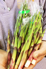 �l�}�K���_�P