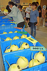 txW