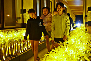 �q�J���m�A�[�~�`