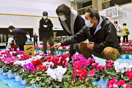 �V�N�������s