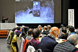 �������C��